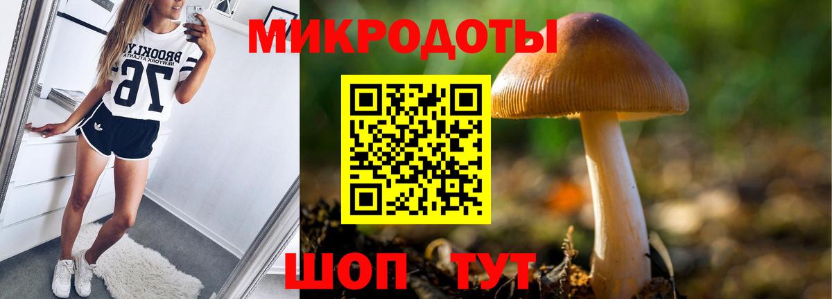 Псилоцибиновые грибы Psilocybe Благодарный